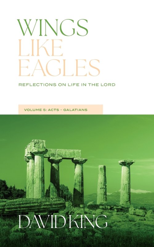 Wings Like Eagles: Reflections on Life in the Lord Vol. 5: Acts-Galatians