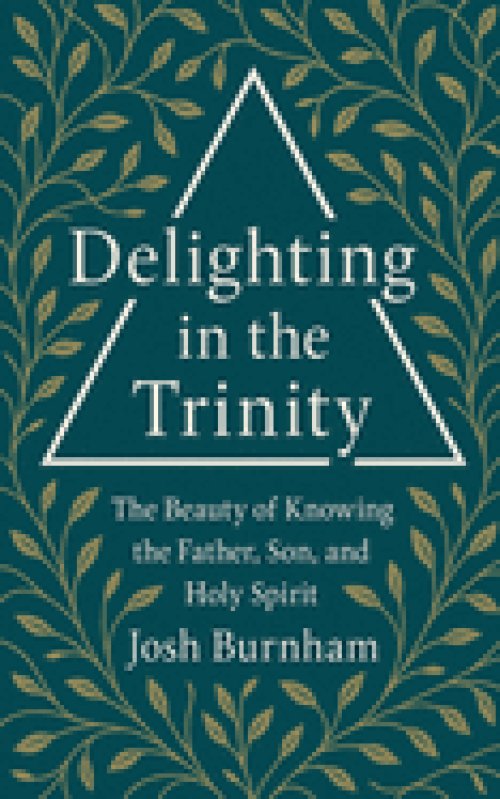 Delighting in the Trinity: The Beauty of Knowing the Father, Son, and Holy Spirit