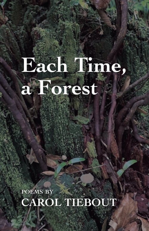 Each Time, a Forest