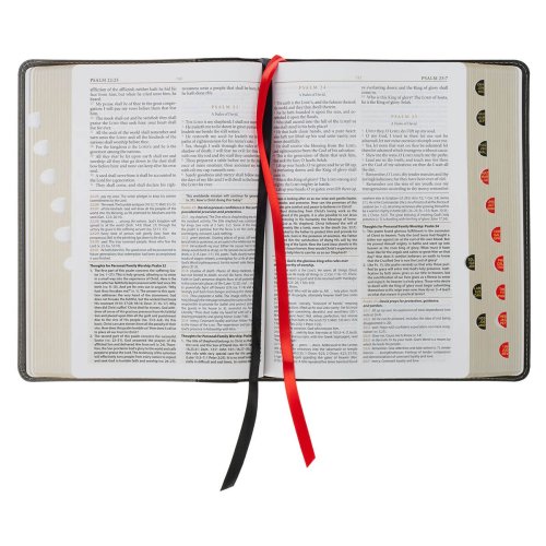 KJV Black and Gray Faux Leather King James Study Bible with Thumb Index