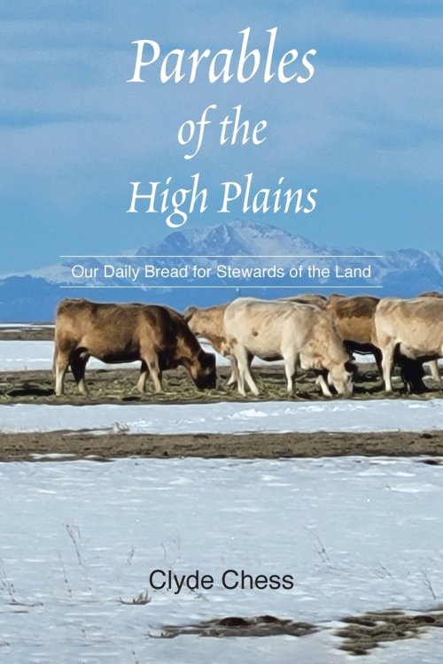Parables of the High Plains : Our Daily Bread for Stewards of the Land