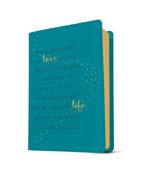 NLT Teen Life Application Study Bible