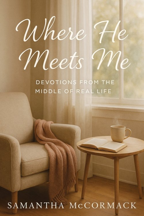 Where He Meets Me: Devotions from the Middle of Real Life