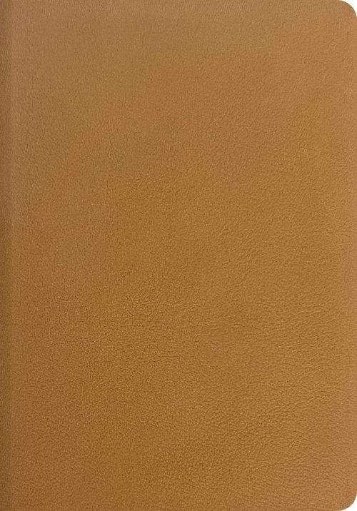 NLT Every Woman's Bible, Filament Enabled (Genuine Leather, Camel, Indexed, Red Letter)
