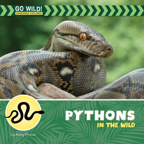 Pythons In The Wild