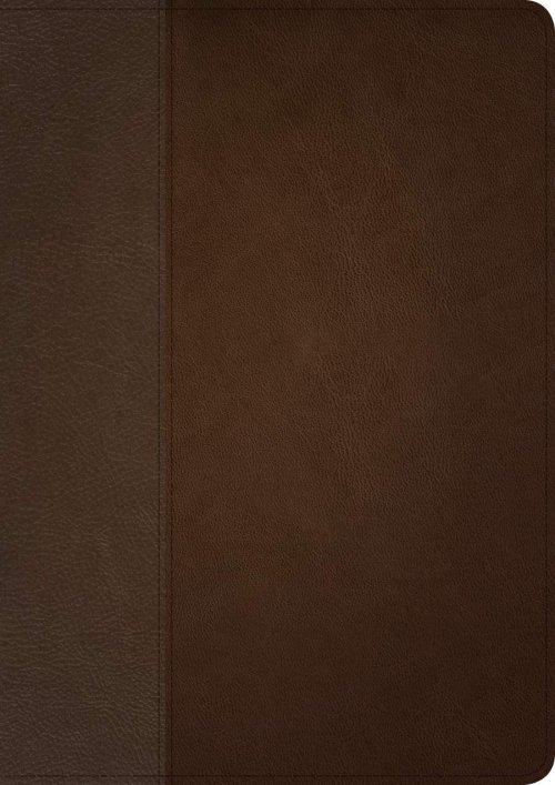 NLT Life Application Study Bible, Third Edition (LeatherLike, Dark Brown/Brown)