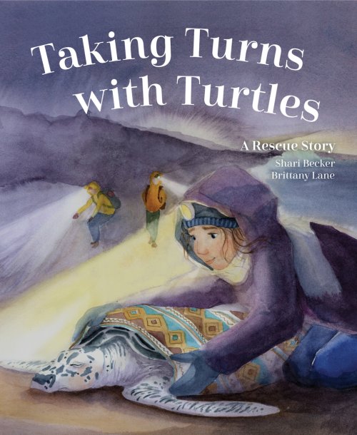 Taking Turns With Turtles