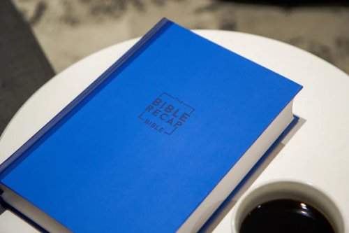 The Bible Recap 365-Day Chronological ESV Study Bible