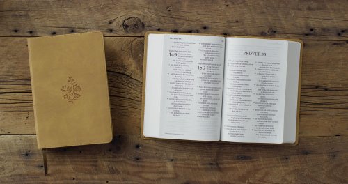 ESV Giant Print Personal Size Bible (TruTone, Nubuck Caramel, Wildflower Design)