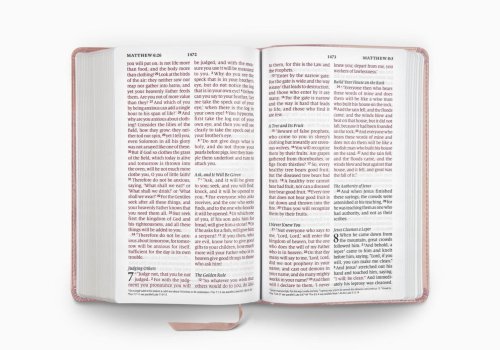 ESV Large Print Personal Size Bible, Red Letter (TruTone, Blush Rose)