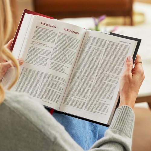 NKJV-NET Parallel New Testament with NET Translators' Notes, Hardcover, Red Letter, Comfort Print