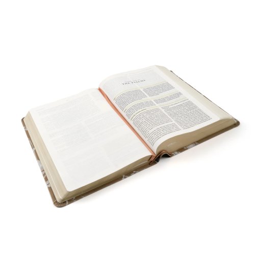 ESV Study Bible: Manila Theme