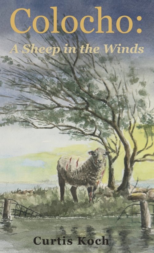 Colocho: A Sheep in the Winds