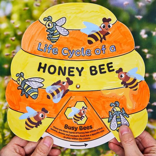 Honey Bee Life Cycle Colour-In Sticker Wheels (Pack of 4)