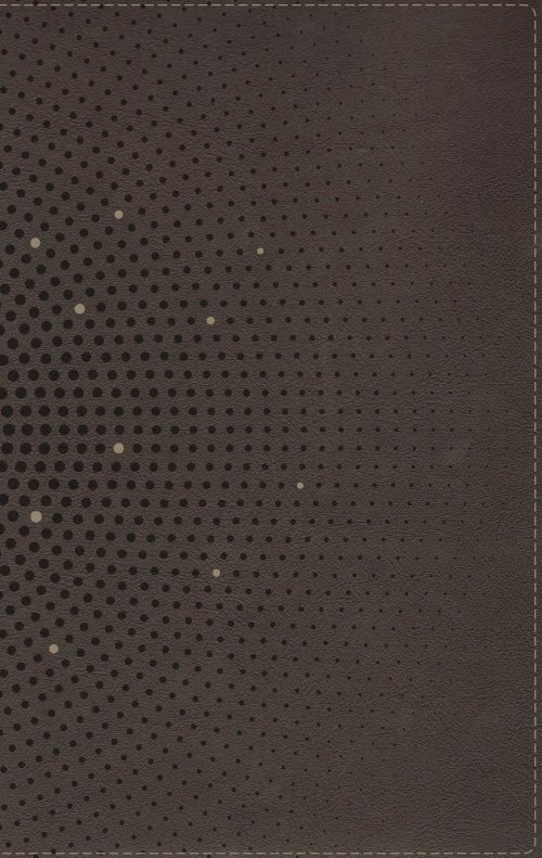 NIV, Clear Focus Bible, Leathersoft, Charcoal Brown