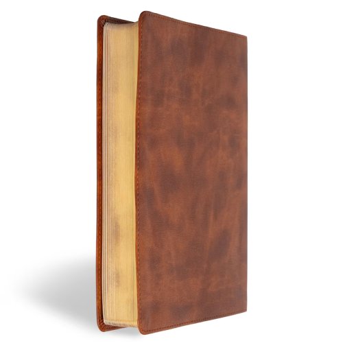 CSB Men of Character Bible, Revised and Updated, Brown LeatherTouch
