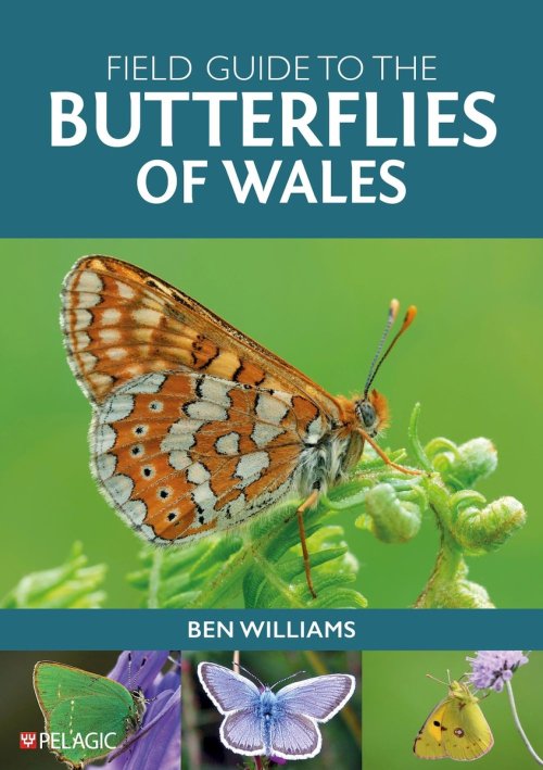 Field Guide To The Butterflies Of Wales