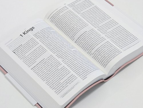 NLT Holy Bible, Pink Flexiback, Leather-Feel, Debossed Detailing, British Text, NLT New Living Translation, Flexiback, Standard size