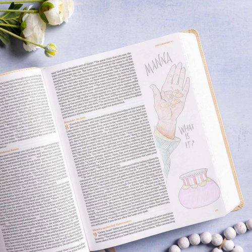 CSB Illustrator's Notetaking Bible, Large Print Edition