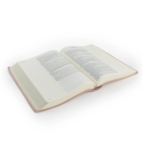 Hosanna Revival Shiloh Set (3x Journaling Bibles, 1x Notebook)