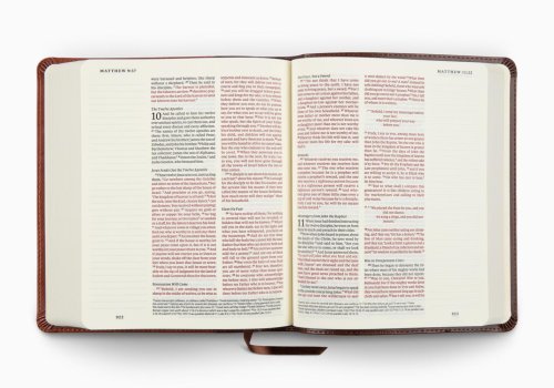 ESV Journaling Bible, Red Letter (TruTone, Brown/Tan, Timeless Design)
