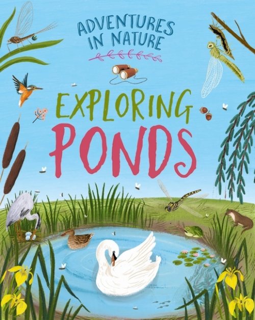 Adventures In Nature: Exploring Ponds