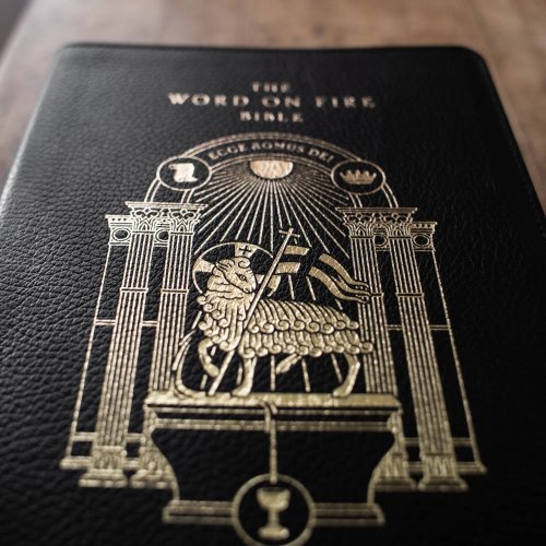 The Word on Fire Bible: Volume 2