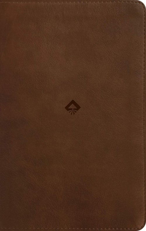 NLT Student Life Application Study Bible, Filament Enabled (LeatherLike, Rustic Brown, Red Letter)