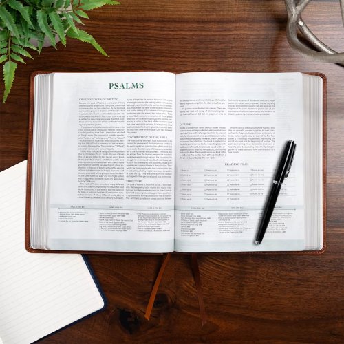 CSB Men of Character Bible, Revised and Updated, Brown LeatherTouch