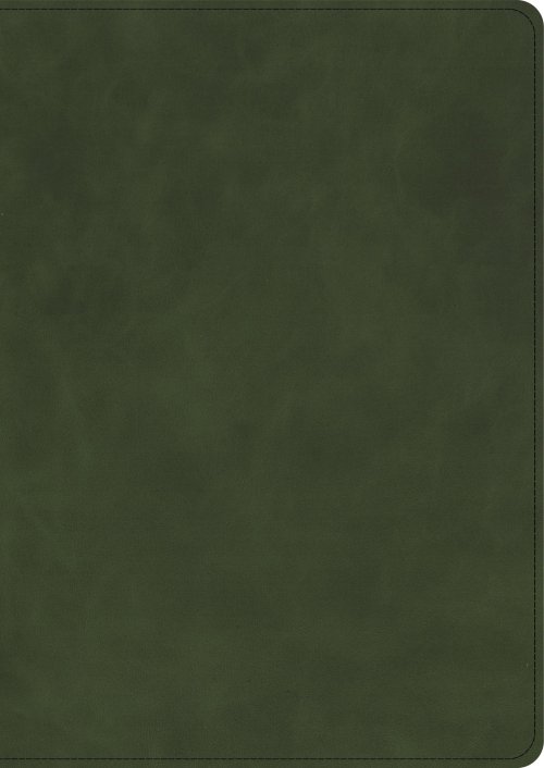 CSB She Reads Truth Bible, Holman Handcrafted Collection, Olive Premium Calfskin