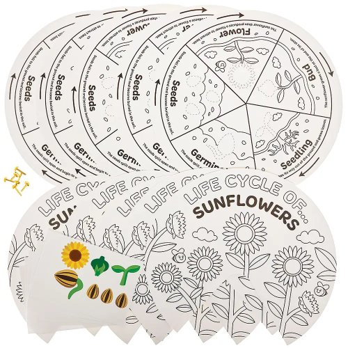 Sunflower Life Cycle Colour-In Sticker Wheels (Pack of 5)