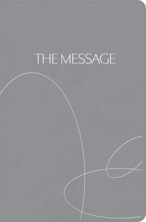 Message Student Devotional Bible (Leather-Look, Stone Gray)