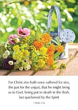 Greetings Cards: 'Christ also hath...' 1Pe. 3.18