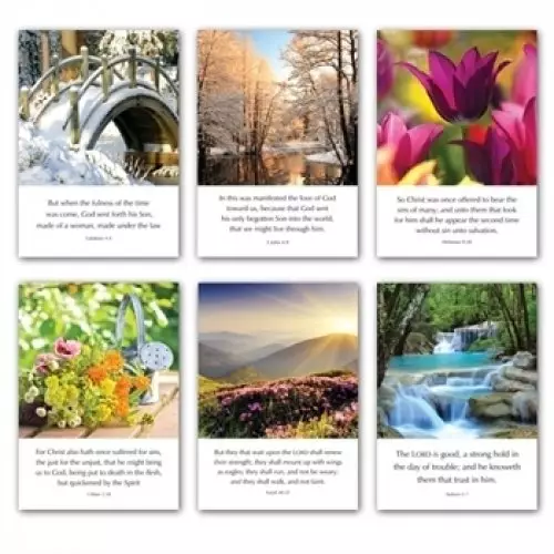 Greetings Cards - L series (mixed pack of 6)