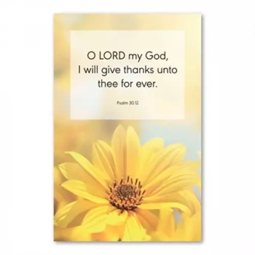 O LORD my God, I will give thanks unto thee for ever - Psalm 30.12