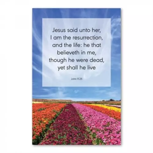 Greetings Cards - 'Jesus said unto her, I am...' Jn. 11.25