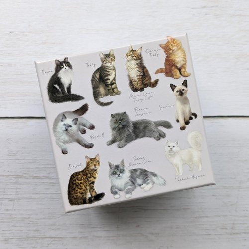 100 Pc Cube Jigsaw - Patricia Maccarthy Cats