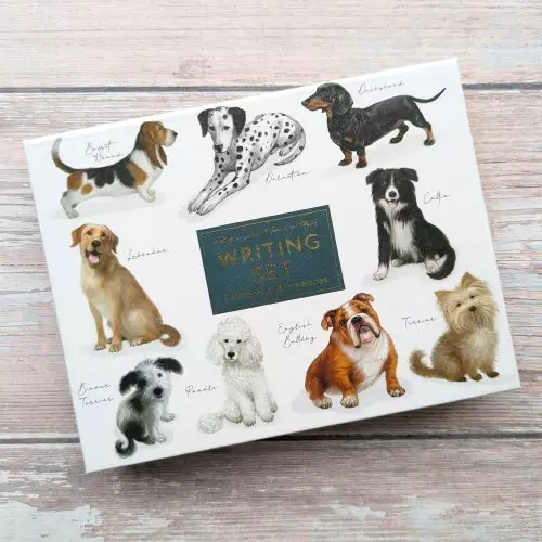 Fliplid Boxed Notecard Set - Patricia Maccarthy Dogs