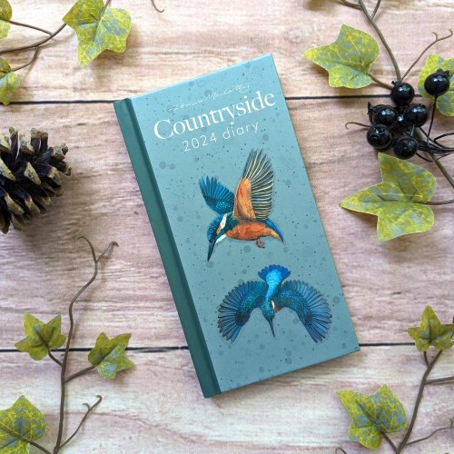 2024 Slim Cased Diary - Patricia Maccarthy Countryside