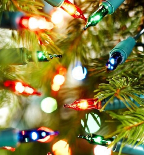 40 Multicolour Classic Mini String Lights with Green Cable