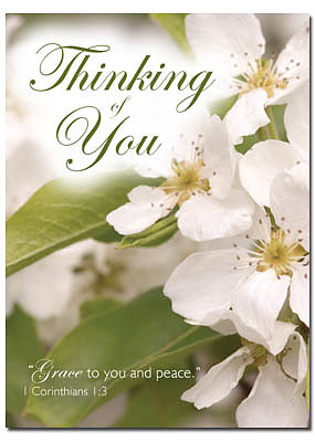 Thinking of You Cards - Pack of 4