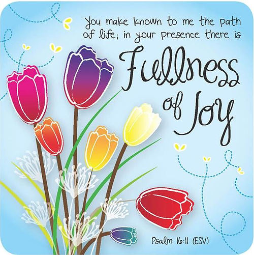 Fullness of Joy Coaster