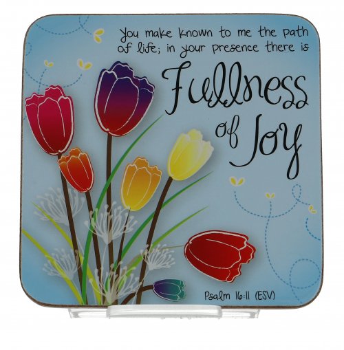 Fullness of Joy Coaster