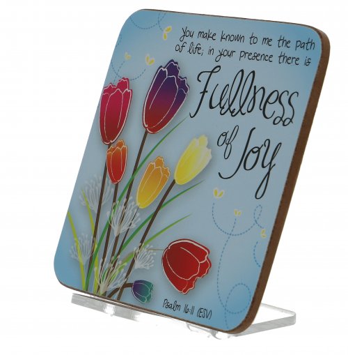 Fullness of Joy Coaster