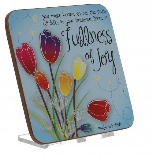 Fullness of Joy Coaster
