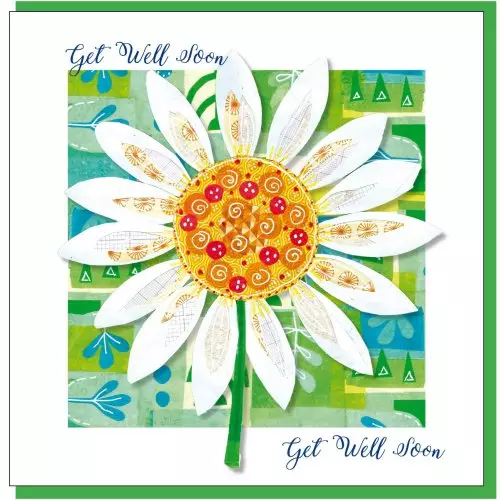 Get well daisy Greetings Card