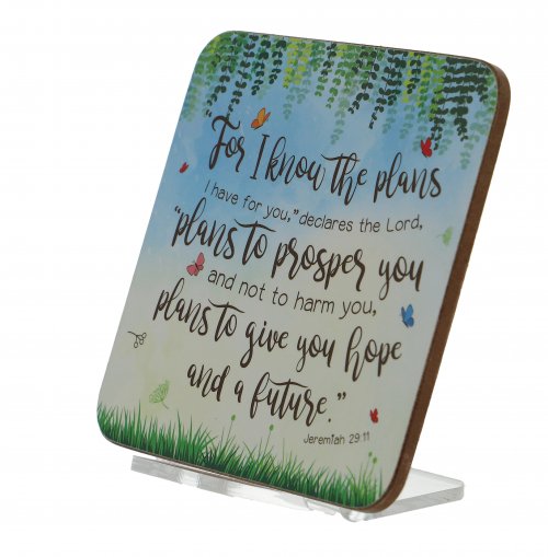 Plans to Give You Hope Coaster