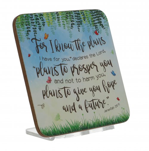Plans to Give You Hope Coaster