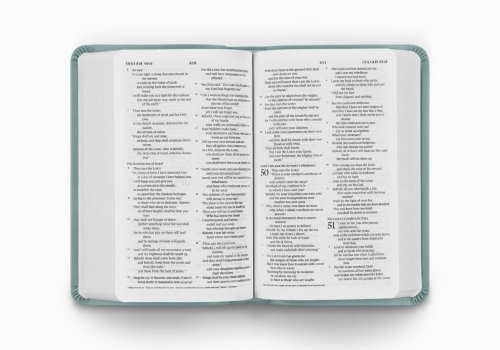 ESV Value Compact Bible (TruTone, Paris Sky, Branch Design)