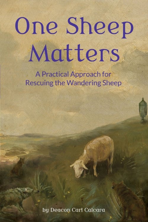 One Sheep Matters: A Practical Approach for Rescuing the Wandering Sheep